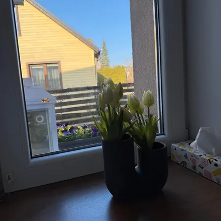 شقة Meja